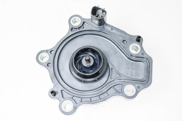 TOYOTA GENUINE 1.8L PRIUS 16-20 / COROLLA 2020 Water Pump Gasket 161A0-39035 OEM