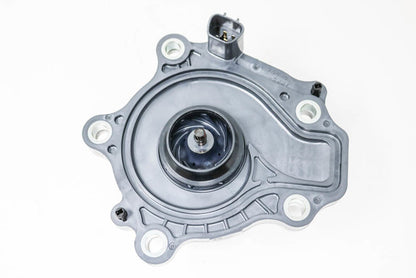 TOYOTA GENUINE 1.8L PRIUS 16-20 / COROLLA 2020 Water Pump Gasket 161A0-39035 OEM